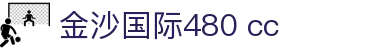 金沙国际480 cc - 每一个瞬间，都是经典